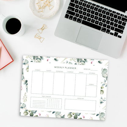 Eucalyptus Notepad Set