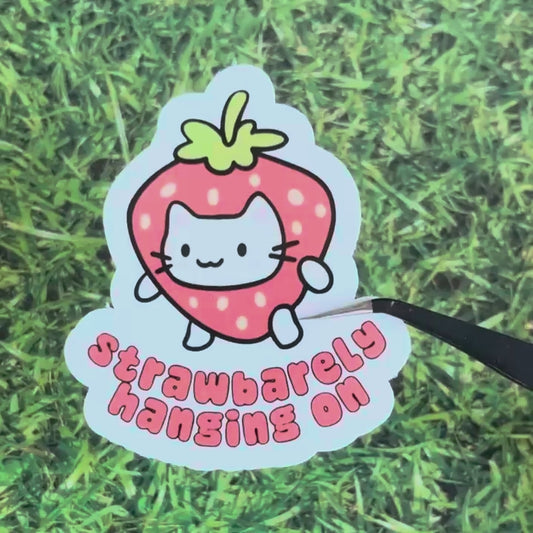 Strawbarely Hanging On Glossy Sticker